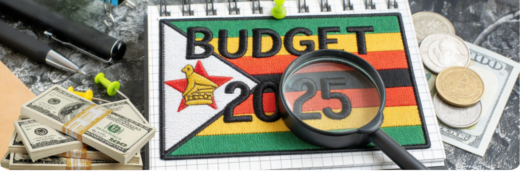 2025 National Budget